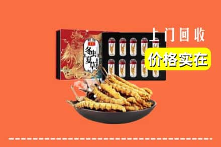 涪陵区回收虫草